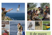 La estación de anillamiento de la laguna abre sus puertas estación de anillamiento