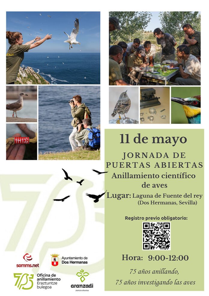 estación de anillamiento