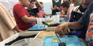 Los productos ecológicos y los agroecosistemas en una nueva actividad productos ecológicos