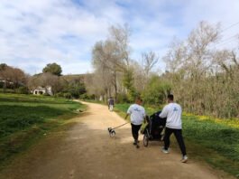 III Todos los ángeles vuelan