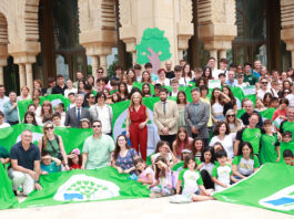 bandera verde