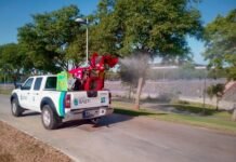 Medidas urgentes para evitar la propagación de los mosquitos medidas urgentes