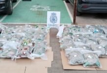 El fuerte olor a marihuana permite la detención de dos traficantes fuerte olor a marihuana