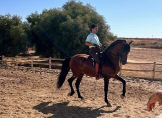 La doma vaquera regresa a Dos Hermanas doma vaquera