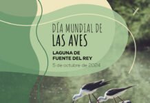 Día Mundial de las Aves en la Laguna de Fuente del Rey