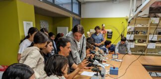 El proyecto de ciencia ciudadana sobre microfauna llega a su fin proyecto de ciencia ciudadana