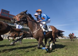 El purasangre será el centro de atención de la temporada hípica purasangre