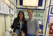 Dos quintos premios de la Lotería de Navidad vendidos en Montequinto dos quintos premios