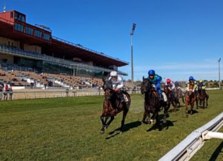 Última jornada de carreras de caballos del año en España última jornada de carreras de caballos