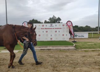 Cuarta jornada de la temporada en el hipódromo de Dos Hermanas cuarta jornada de la temporada