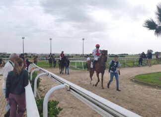 Cuarta jornada hípica del año en el hipódromo cuarta jornada