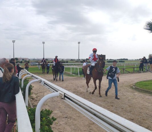 Cuarta jornada hípica del año en el hipódromo cuarta jornada