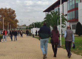 35 caballos en liza para la quinta jornada hípica 35 caballos en liza