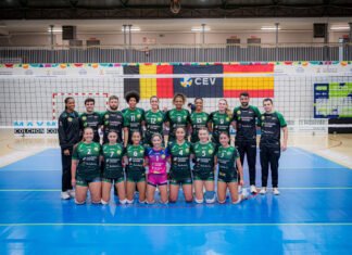 Despedida del sueño europeo para la Fundación Unicaja Andalucía despedida del sueño europeo