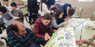 Iniciativas para conocer la realidad de la parálisis cerebral iniciativas