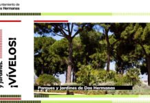 La web de Parques y Jardines se amplía con nuevas zonas verdes web de parques y jardines