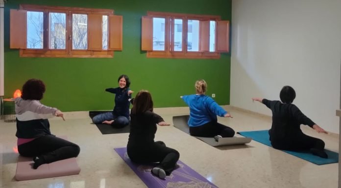 Yoga y pilates para un cuerpo y una mente sanos yoga y pilates