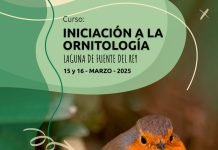 Curso de iniciación a la ornitología en la Laguna de Fuente del Rey curso de iniciación a la ornitología