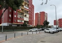 Primera fase de la mejora urbana en la Avenida de los Pinos primera fase