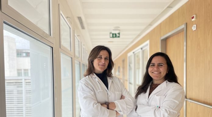 Hábitos de vida saludable para mejorar los síntomas de la menopausia hábitos de vida saludable