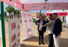 Día Internacional del Pueblo Gitano reivindicativo y pedagógico Día Internacional del Pueblo Gitano