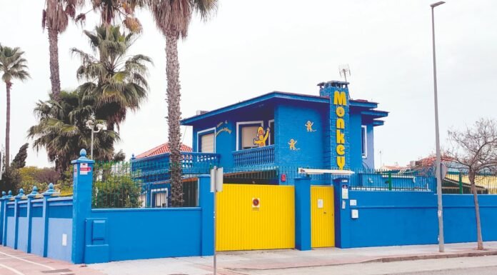 El CEI Monkey avanza con un proyecto integral e innovador cei monkey