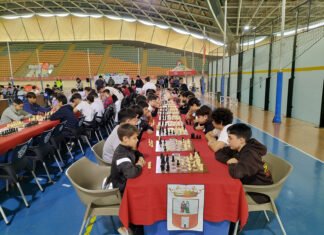 La XVII Fiesta del Ajedrez congrega a más de 500 escolares XVII fiesta del ajedrez