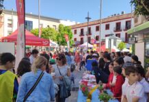 mercado de emprendimiento escolar