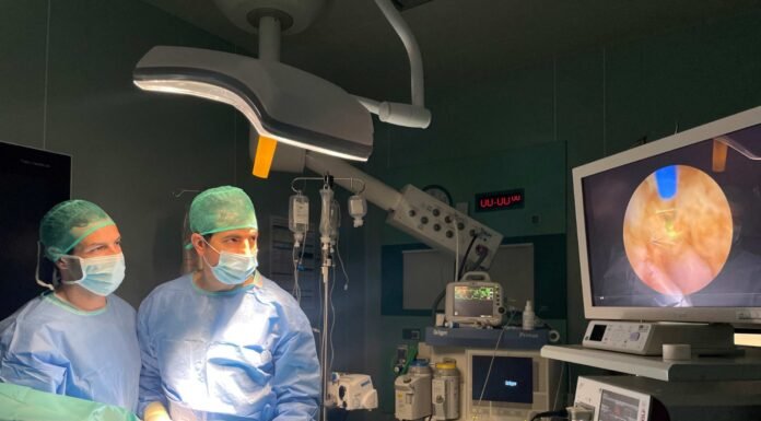 La nefrolitotomía percutánea contra los cálculos renales complejos nefrolitotomía percutánea