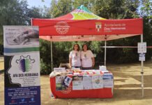AFA Dos Hermanas se suma a la celebración del Día del Alzheimer afa dos hermanas