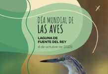 El Día Mundial de las Aves vuelve a la Laguna de Fuente del Rey día mundial de las aves