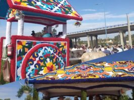 mejores exorno de carretas y galeras