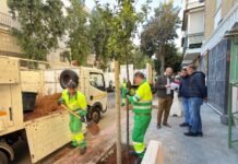 La campaña anual de plantación 2025/26 ya está en marcha campaña anual de plantación