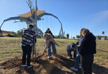 Reforestación participativa en el parque forestal reforestación participativa