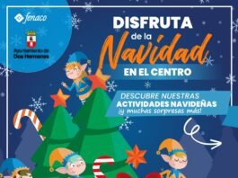disfruta de la navidad en el centro