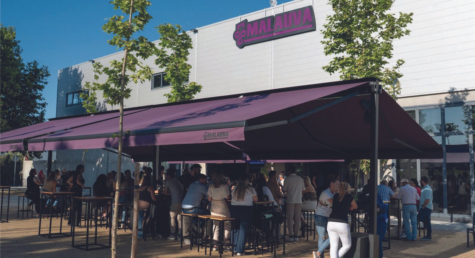 sala de fiestas malauva 3 malauva