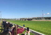 Cuarta jornada de la temporada en el Gran Hipódromo de Andalucía cuarta jornada