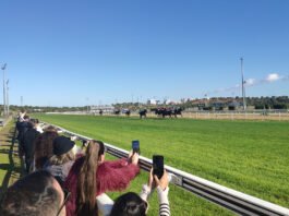 Cuarta jornada de la temporada en el Gran Hipódromo de Andalucía cuarta jornada
