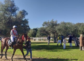 Quinta de la temporada hípica de invierno en el hipódromo quinta de la temporada hípica