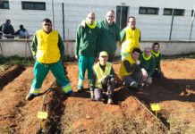 ANIDI se sigue encargando del mantenimiento de su plaza anidi