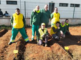 ANIDI se sigue encargando del mantenimiento de su plaza anidi