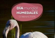 Actividades ambientales en la Laguna de Fuente del Rey actividades ambientales