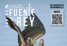 El Concurso fotográfico Laguna de Fuente del Rey abre su sexta edición concurso fotográfico laguna de fuente del rey