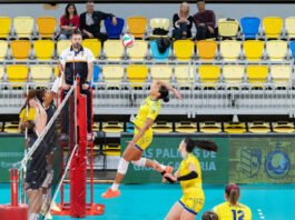 No pudo sumar el Fundación Cajasol Andalucía en Gran Canaria no pudo sumar