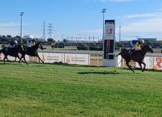 Janacek no pudo conseguir su victoria mil en el hipódromo janacek