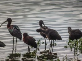año de record de visitas