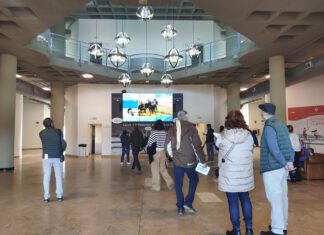 Nueva jornada de carreras de caballos en el hipódromo nueva jornada de carreras de caballos