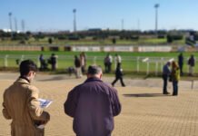 Segunda jornada del año en el Gran Hipódromo de Andalucía segunda jornada