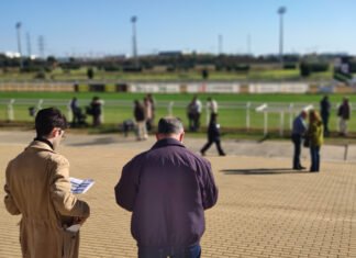 Segunda jornada del año en el Gran Hipódromo de Andalucía segunda jornada