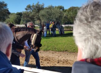 Primera jornada de carreras de caballos del año primera jornada de carreras de caballos